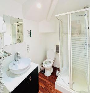 a bathroom with a sink and a toilet at La Carpe d'Or in Fontainebleau
