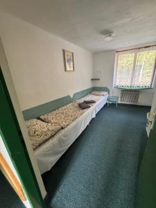 ein Schlafzimmer mit zwei Betten in einem Zimmer in der Unterkunft Chata na Pile in Sedlice