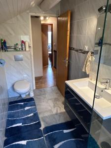 a bathroom with a sink and a toilet and a mirror at Le chalet st hubert in Montcel