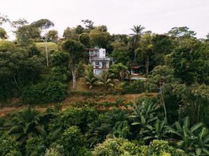 a house on a hill in the jungle at Vila Boa Vista Itacaré in Itacaré