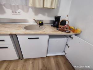 a kitchen with a sink and a counter with a sink at Transilvania Studio in Sibiu