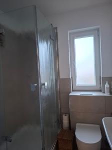 a bathroom with a shower and a toilet and a window at Appartement am Goldsteinpark in Bad Nauheim +5 photos