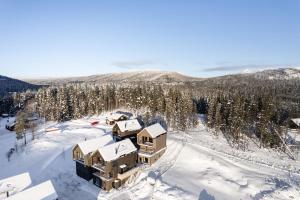 an aerial view of a house in the snow at Ljungvind Kåvan - Funäsdalen in Funäsdalen +22 photos