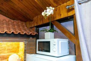 a microwave sitting on top of a cabinet with a plant at Casa Fernandes by Mth in Ribeira Brava