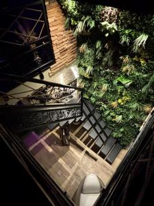 a cat sitting on the stairs in front of a building at Taelia spa in Rosult