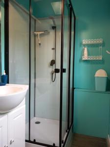 a bathroom with a glass shower and a sink at Chalet BELIVERS in Carcans +4 photos