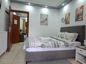 a bedroom with a bed in a room at Paradise Bridge in Xanthi