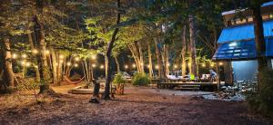 a party in the woods at night with lights at Curahuapi Refugio de Montaña in Las Trancas