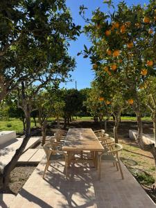 a wooden table and chairs under an orange tree at Can Joan Yern in Sant Joan de Labritja