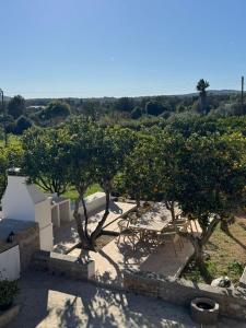 a patio with orange trees and a table and chairs at Can Joan Yern in Sant Joan de Labritja