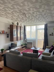 a living room with a couch and a table at Kolor House Apartman in Kazincbarcika