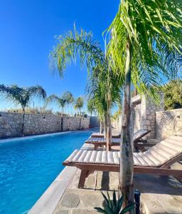 a pool with chaise lounges and a palm tree at ODYSSEA Top View & Hot Jacuzzi Front Beach in Kremasti