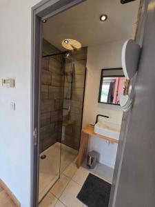 a bathroom with a shower and a sink at Terrasses du Zimmerberg in Barr +15 photos