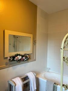 a bathroom with a bath tub and a mirror at Periwinkle Blue in Clarens +40 photos