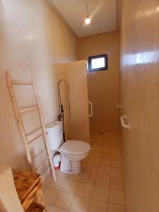 a bathroom with a toilet and a ladder in it at Chambres Maison d'hôtes MaisonBlanche in Essaouira +92 photos