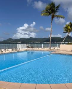 a swimming pool with a palm tree and the ocean at Sole e Mare NBBC sur la plage de Baie Nettlé in Baie Nettle