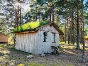 a small house with a moss roof in the woods at Ülesaare kämping in Kelnase
