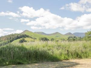 a field of grass with mountains in the background at Mews Cottage 7 in Keswick