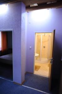 Habitación con una puerta que conduce a un baño en Perlyna Krasiyi, en Vyshka