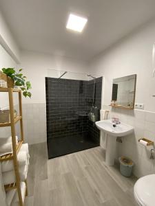 a bathroom with a shower and a sink at Apartamento en Eibar in Éibar