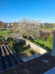 a view from the roof of a building with a tree at Chambre dans village tranquille in Saint-Laurent-de-la-Plaine