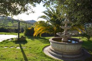 a fountain in the middle of a lawn with palm trees at La cesa country B&B in Scandriglia