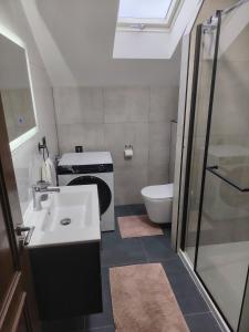 a small bathroom with a sink and a toilet at Apartman ŠIPA in Bjelovar +13 photos
