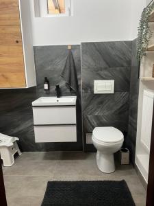 a bathroom with a white toilet and a sink at GRAND HOME Apartman in Sárospatak +28 photos
