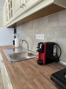 a toaster sitting on a kitchen counter next to a sink at Alexandra Apartment in Agíasma