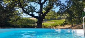 a swimming pool with a tree in the background at La Cachette - Gîte & Hébergements Insolites - Spa in Rivière-sur-Tarn