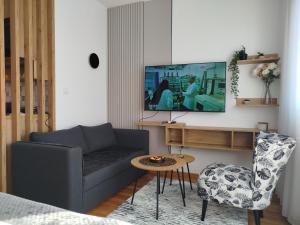 a living room with a couch and a tv at Studio Sky in Smederevo