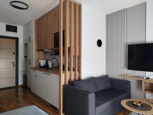 a living room with a couch and a kitchen at Studio Sky in Smederevo