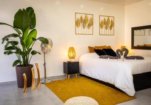 a bedroom with a bed and a potted plant at Gîte Spa Cookie in Urschenheim