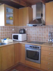 a kitchen with a stove and a microwave at Stathis Villa in Vamos +2 photos