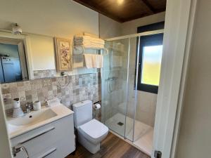a bathroom with a toilet sink and a shower at APARTAMENTOS LOS MANZANOS in Ribadesella