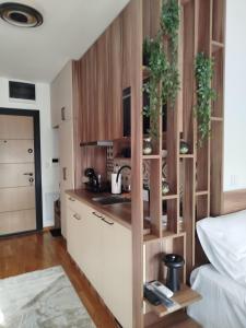 a kitchen with wooden cabinets and a counter with plants at City Studio in Smederevo