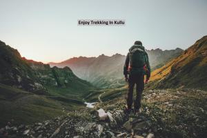 a man standing on a mountain looking at a valley at Hotel O Shishamaati in Kulu