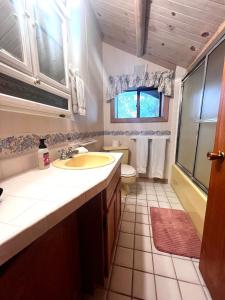 a bathroom with a sink and a toilet and a window at Selway View Cabin in Corvallis