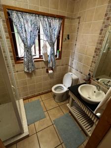a bathroom with a sink and a toilet and a window at Die Anker Kothuis in Southbroom +14 photos
