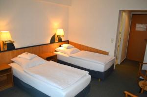 Postel nebo postele na pokoji v ubytování Hotel Zur Mühle
