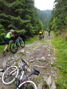 a group of people riding bikes on a dirt road at Pokój kapitański in Polańczyk