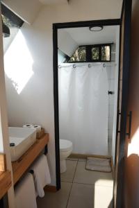 a bathroom with a toilet and a sink at Cabaña Gokotta, Punta del Bosque in Huasca de Ocampo