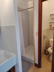 a bathroom with a shower and a toilet at Studio Magnolia in Saint-Satur +5 photos