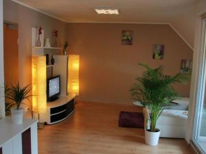 a living room with a television and two potted plants at Hotel Löwen in Blaubeuren