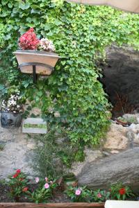 Jardín al aire libre en Hostal El Forn