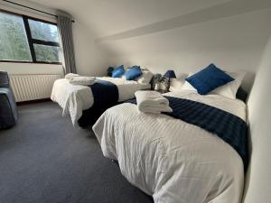 a group of four beds in a room at Tullyeskar House - Monasterboice in Philipstown +50 photos