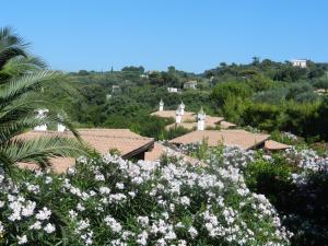 a group of white flowers in front of houses at Tenuta Molino di Mare- Ecoresort in Rodi Garganico