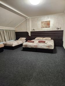 a room with two beds in a room with carpet at Hotel Chamishki in Blagoevgrad