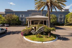 ein Gebäude mit einer Palme davor in der Unterkunft Hotel Victoria Express in Durango