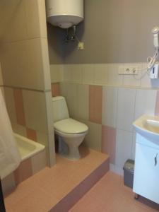 een badkamer met een toilet en een wastafel bij S&M Apartments - Zarichna in Kiev